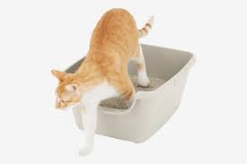 litter box for cat